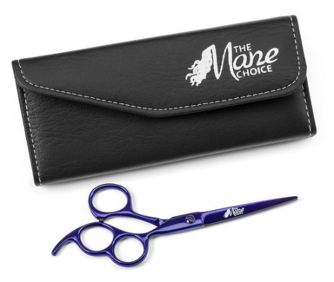 Professional Scissor Set – Mr Beard